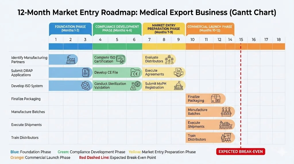 12-Month Market Entry Roadmap